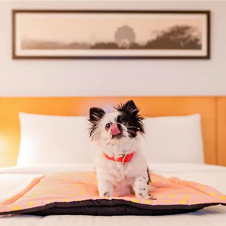 Hotel Ibis Fourmies