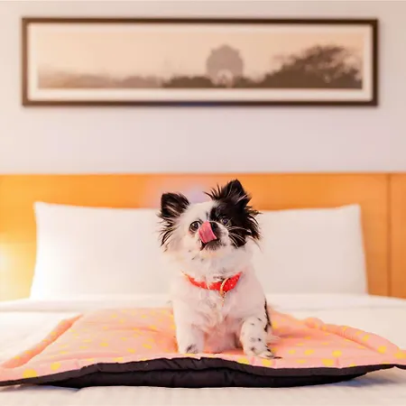 Ibis Hotel