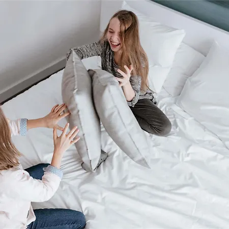 Ibis 3*