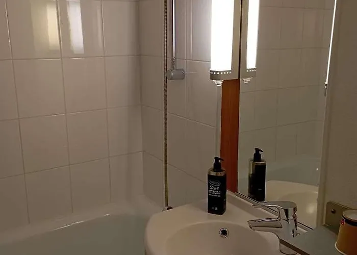 Ibis 3*