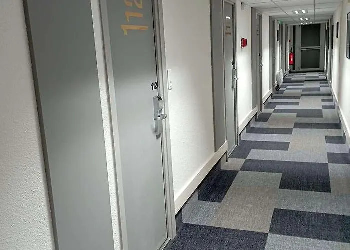 Ibis 3*